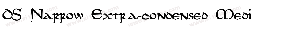 DS Narrow Extra-condensed Medium字体转换